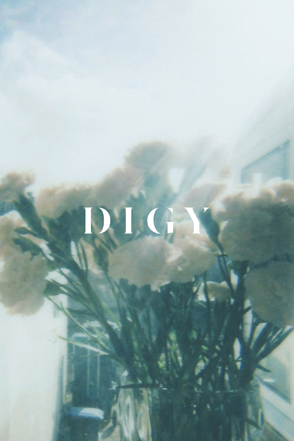 DIGY